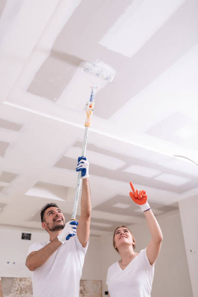 Best Basement Mold Removal  in Ogden Dunes, IN