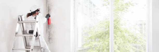 Mold Removal for HVAC Installations in Ogden Dunes, IN