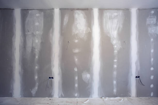 Best Mold Documentation for Insurance Claims  in Ogden Dunes, IN