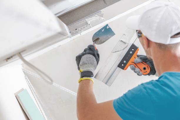 Best Airborne Mold Testing  in Ogden Dunes, IN